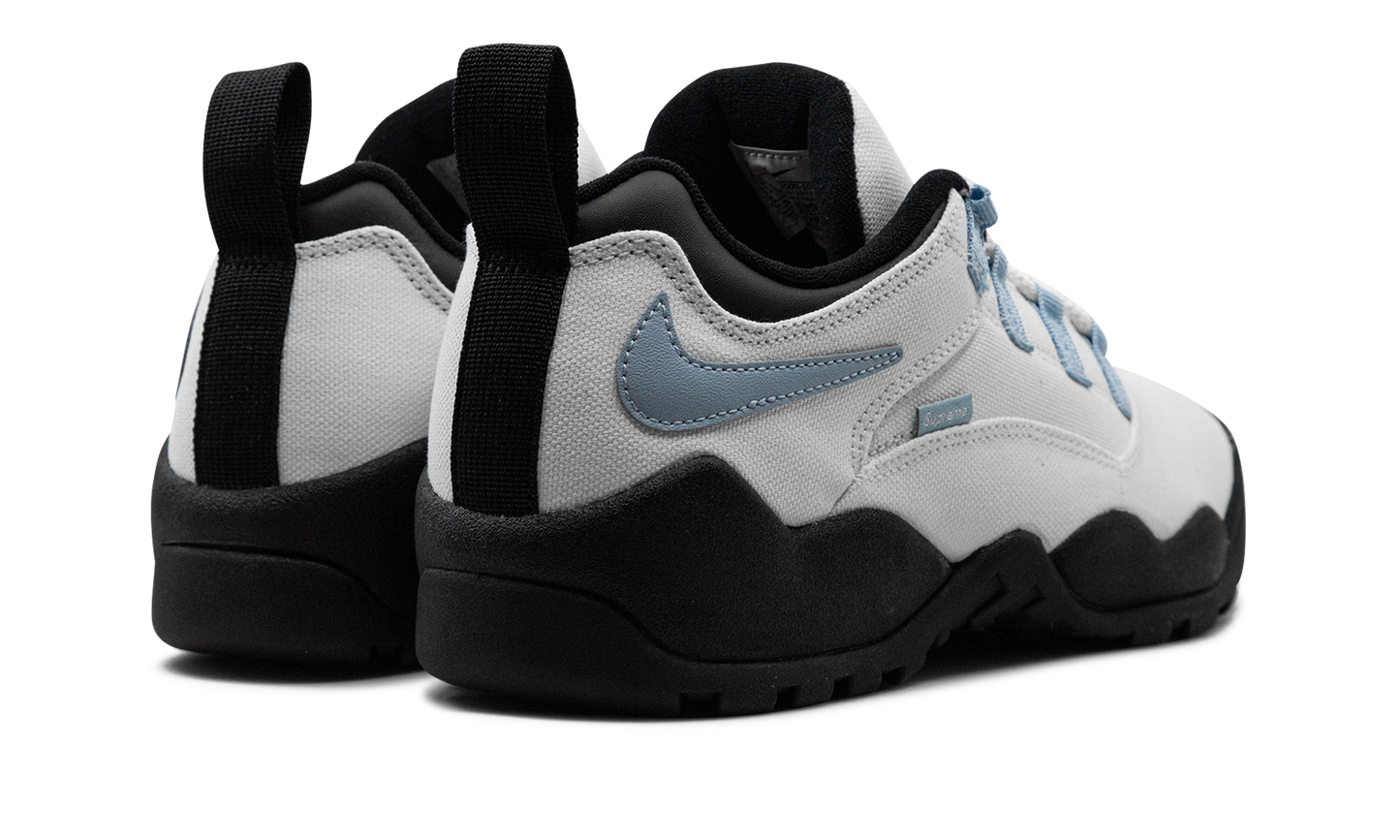 SB Darwin Low "Supreme - Sail"