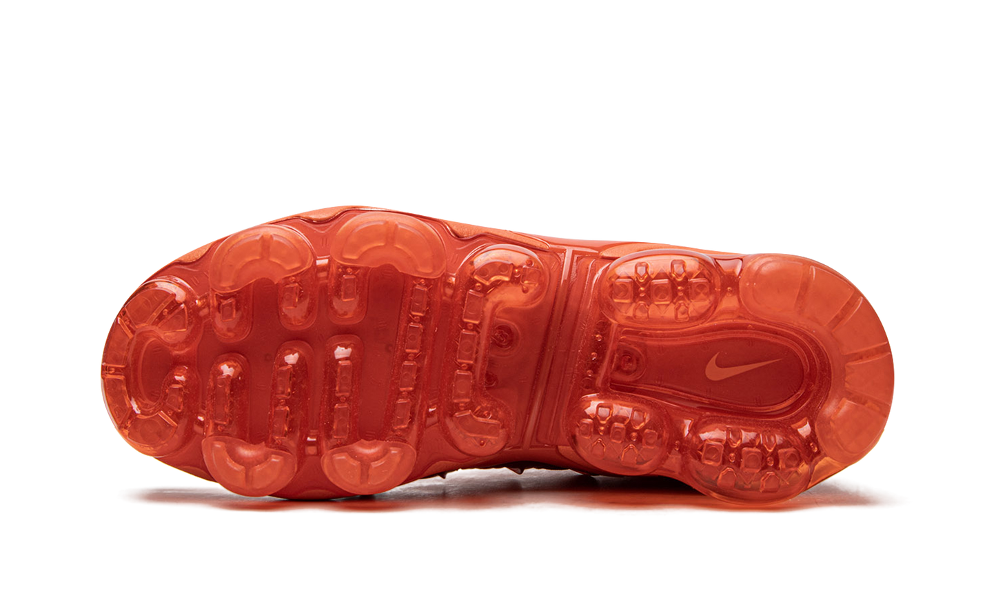 AIR VAPORMAX PLUS WMNS