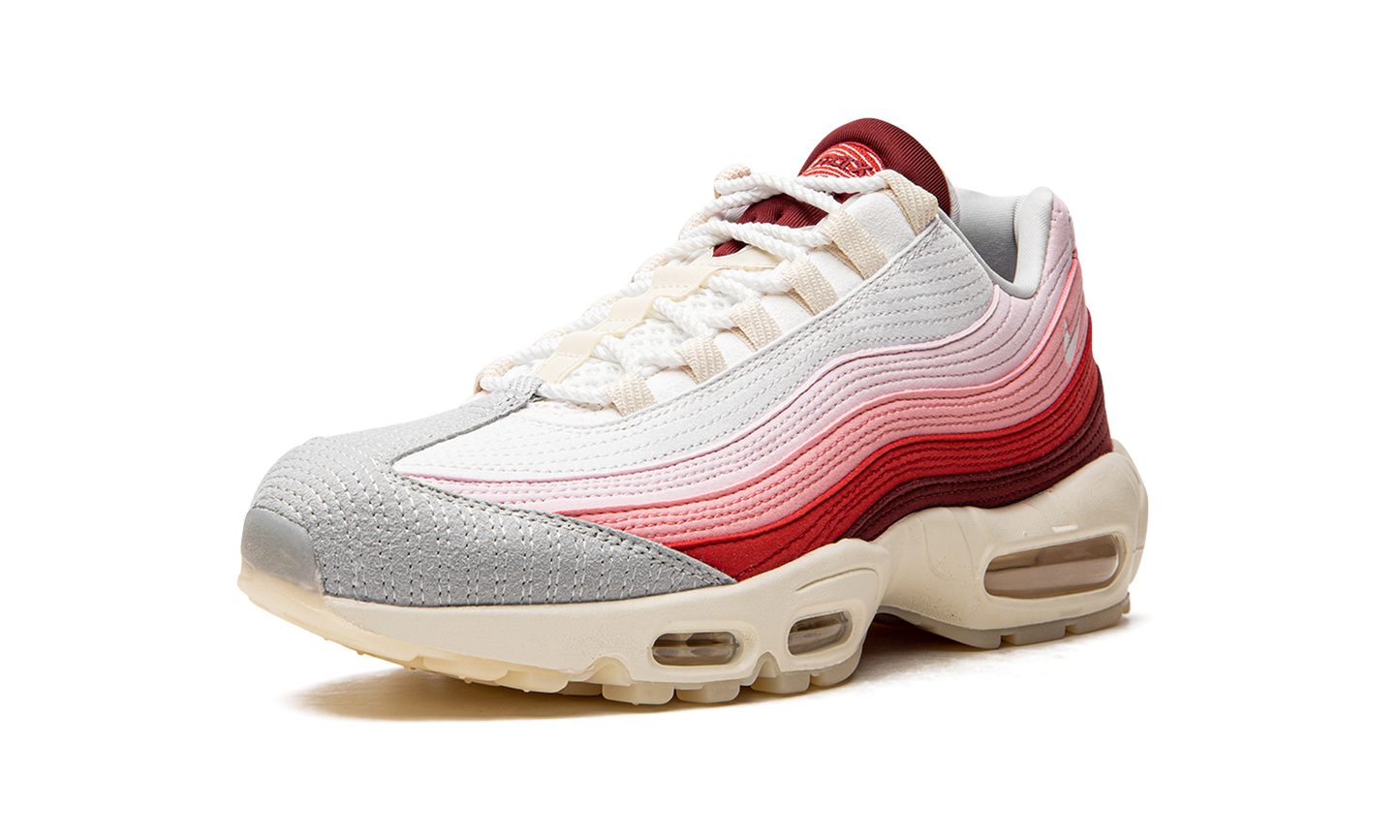 Air Max 95 QS "Anatomy of Air"