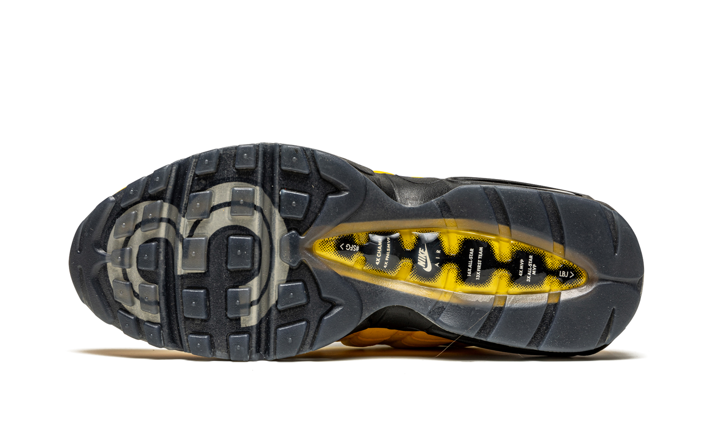 Air Max 95 NRG "Lakers - Lebron"