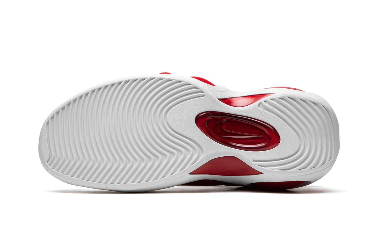 Air Zoom Flight 95 "True Red"
