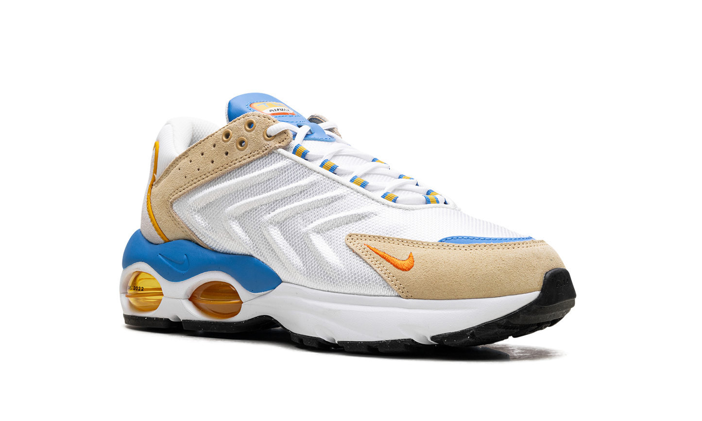 Air Max TW "Frank Rudy"