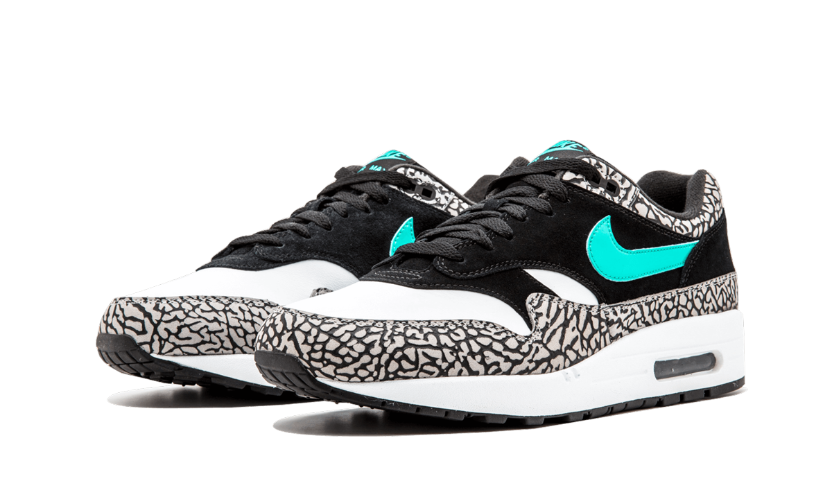 Air Jordan X Max Pack "Atmos Safari / Elephant Pack"