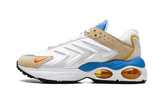 Air Max TW "Frank Rudy"