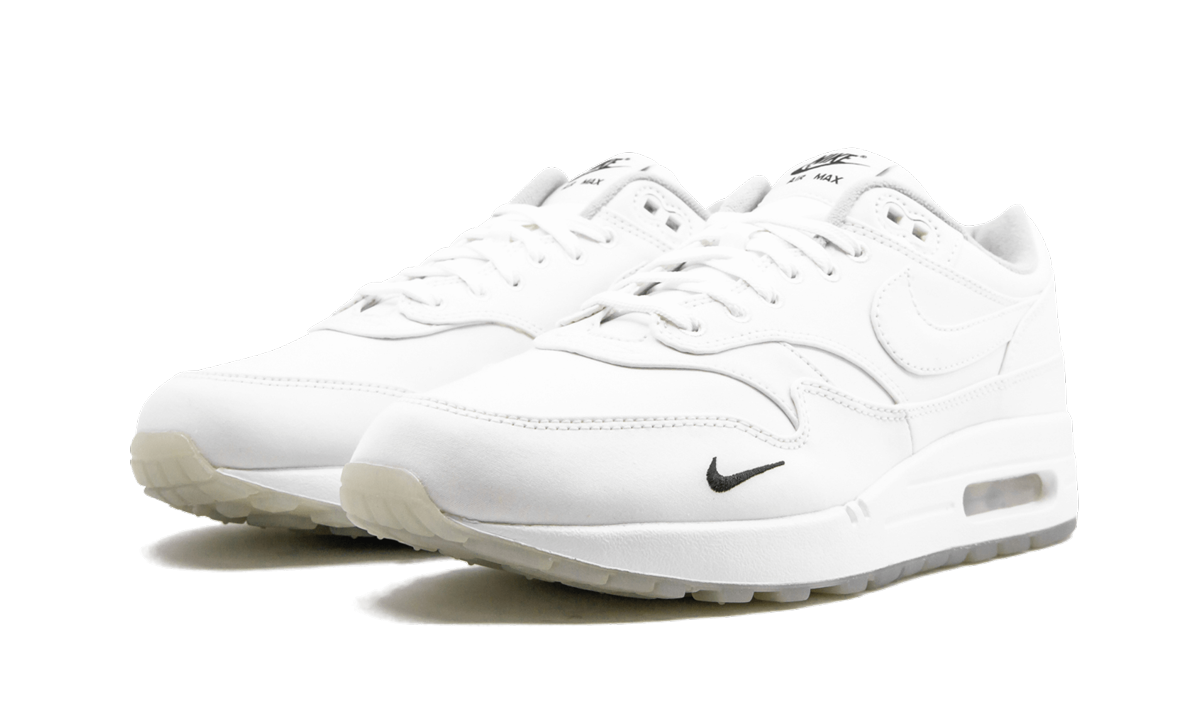Air Max 1 "DSM"