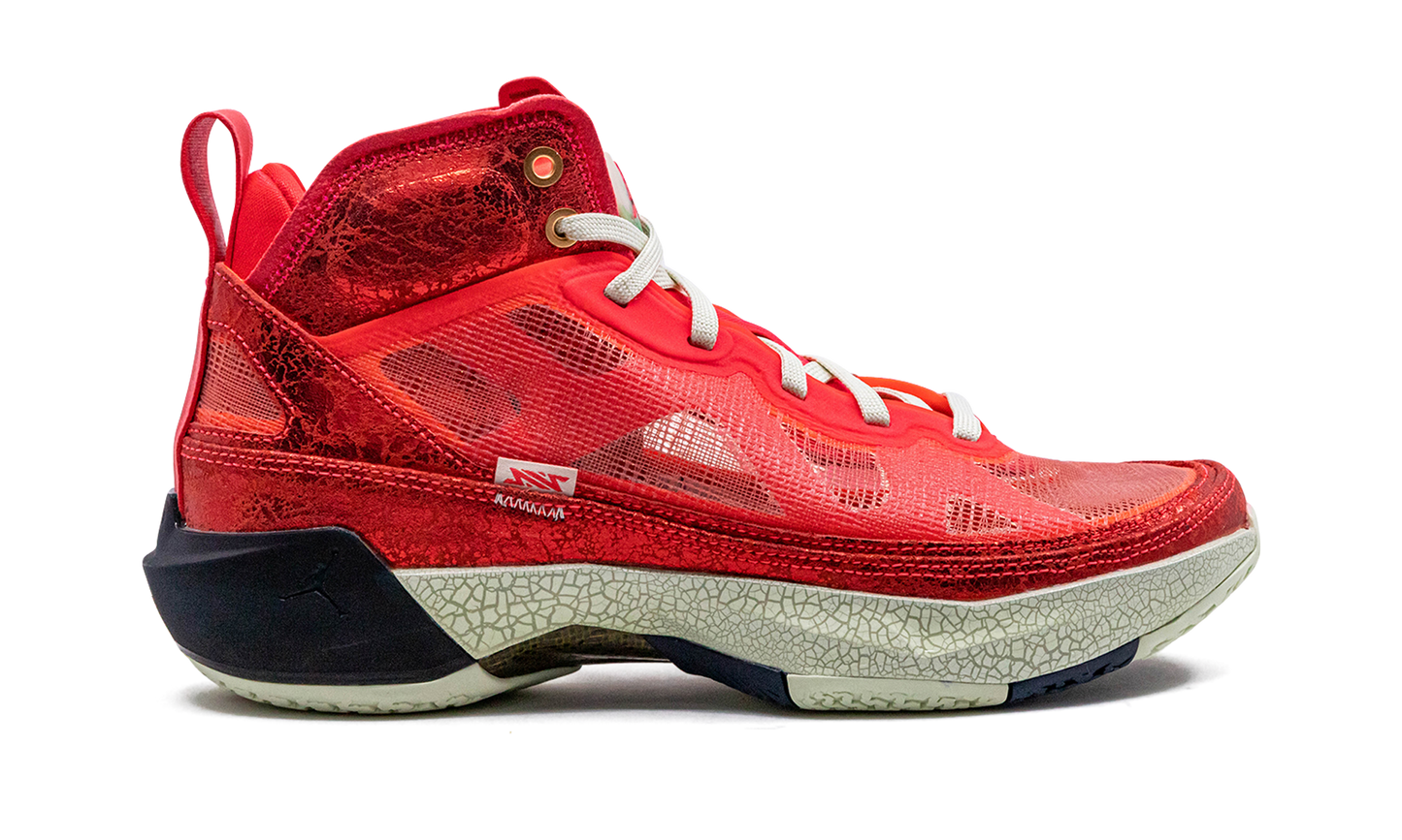 Jordan 37 "Rui Hachimura"