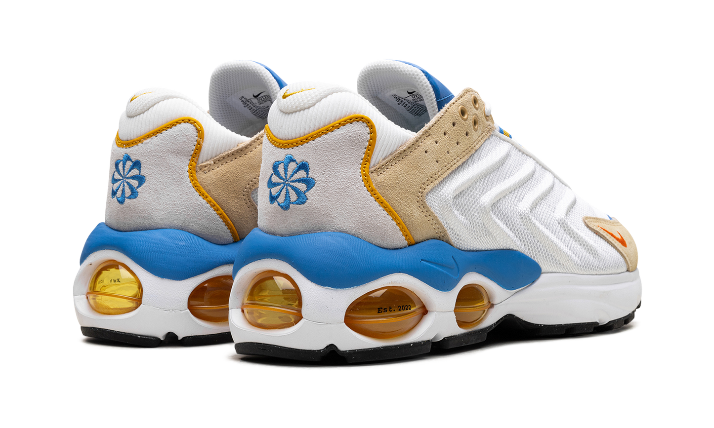 Air Max TW "Frank Rudy"