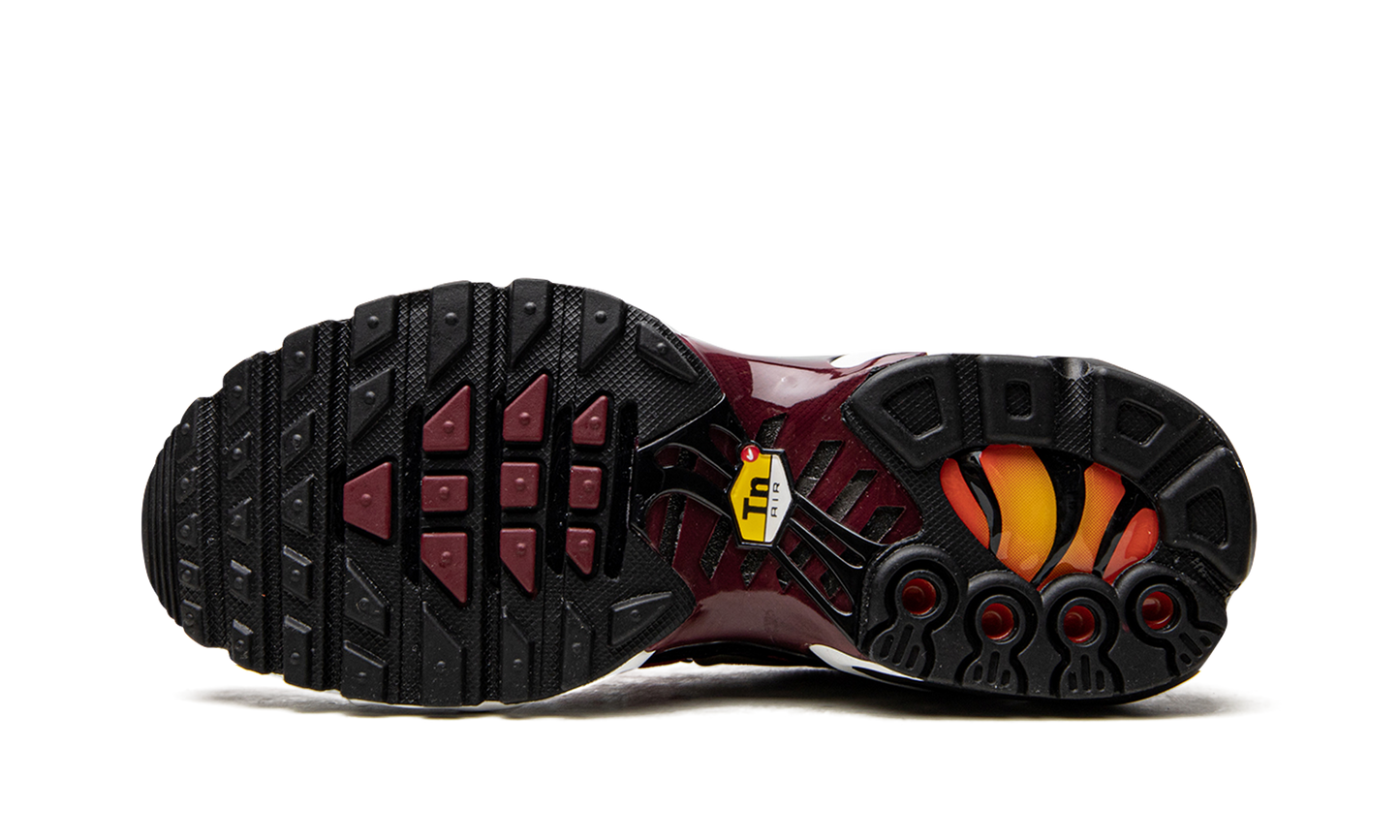 AIR MAX PLUS MNS WMNS "Sisterhood"