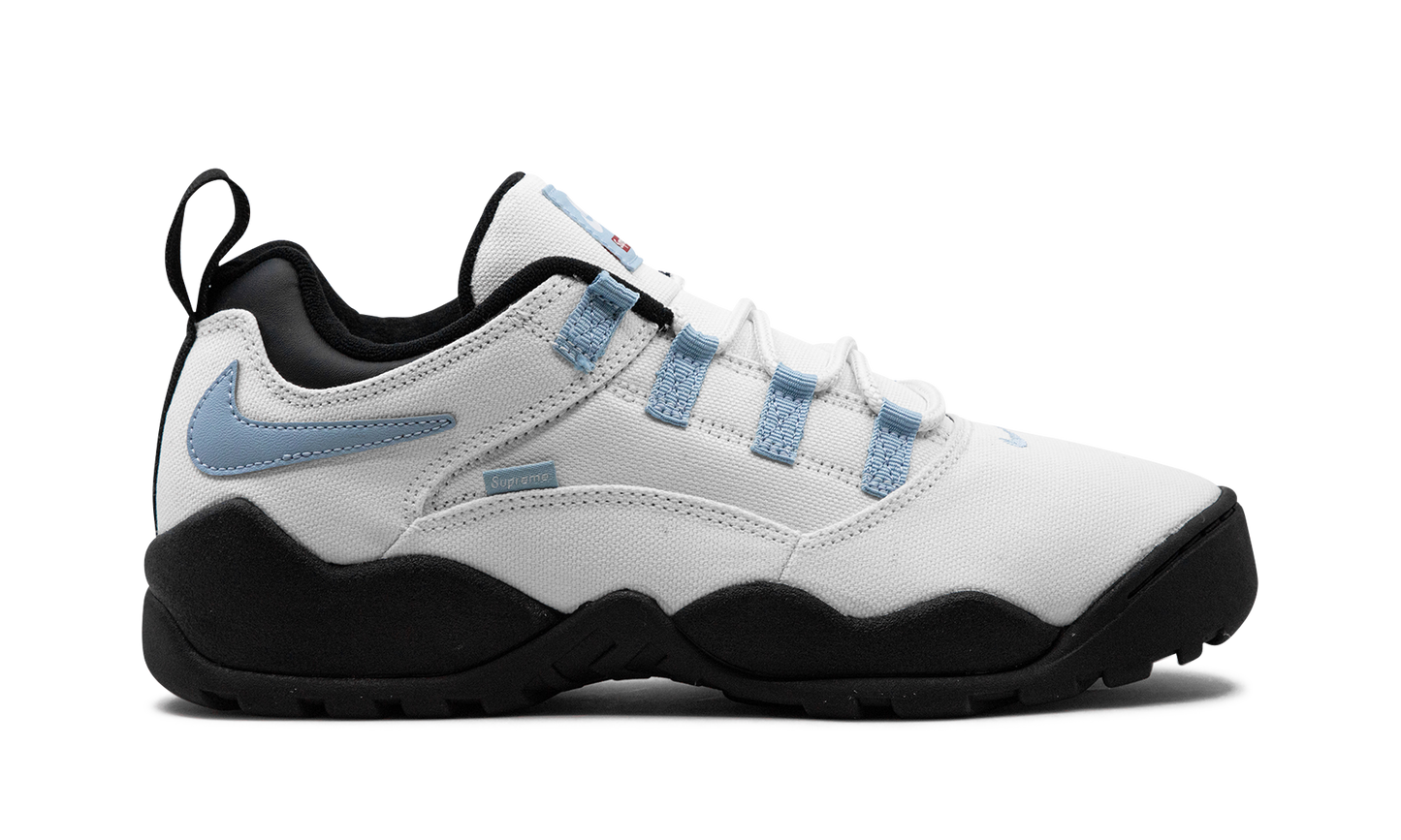 SB Darwin Low "Supreme - Sail"