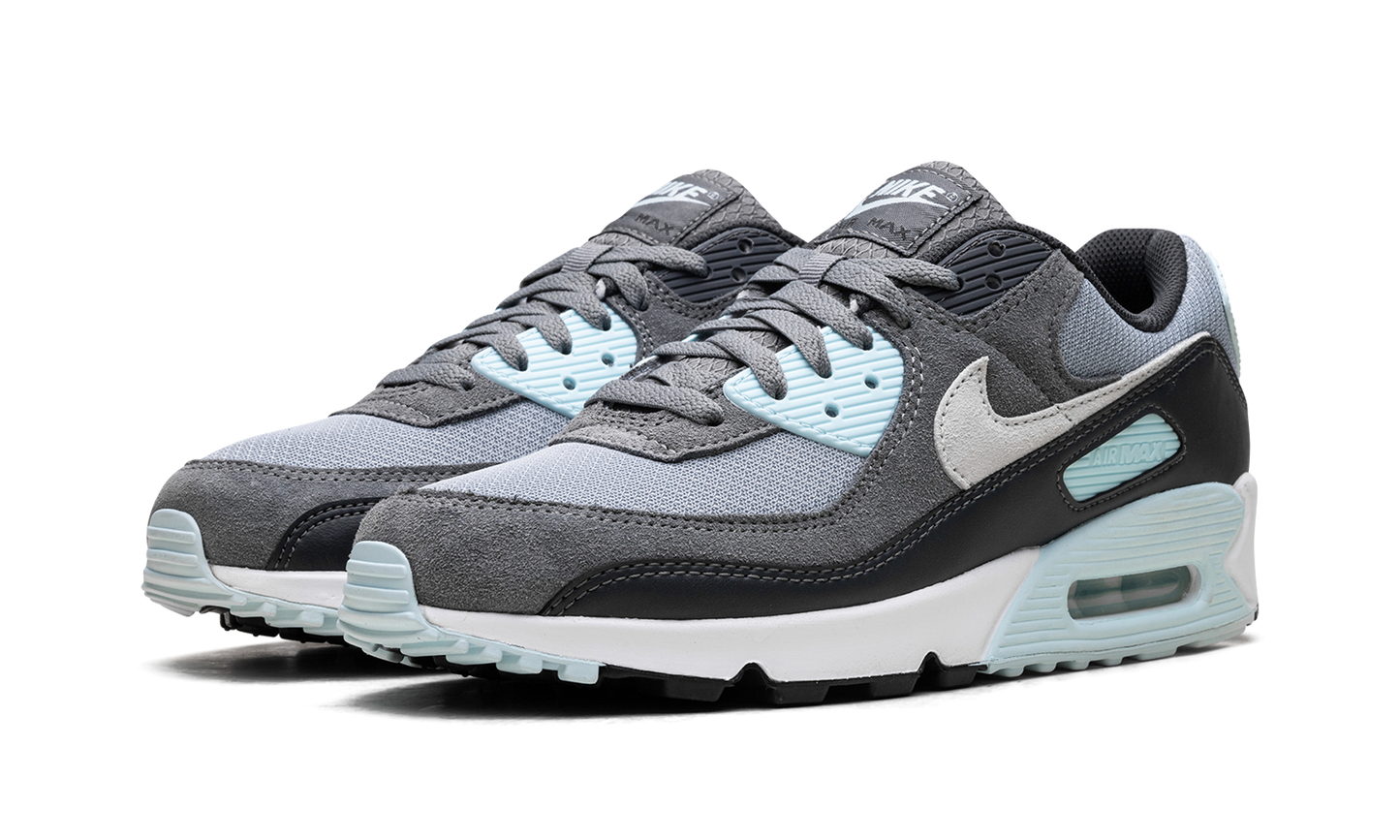 Air Max 90 "Pumice"