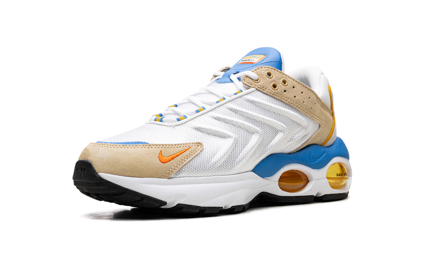 Air Max TW "Frank Rudy"