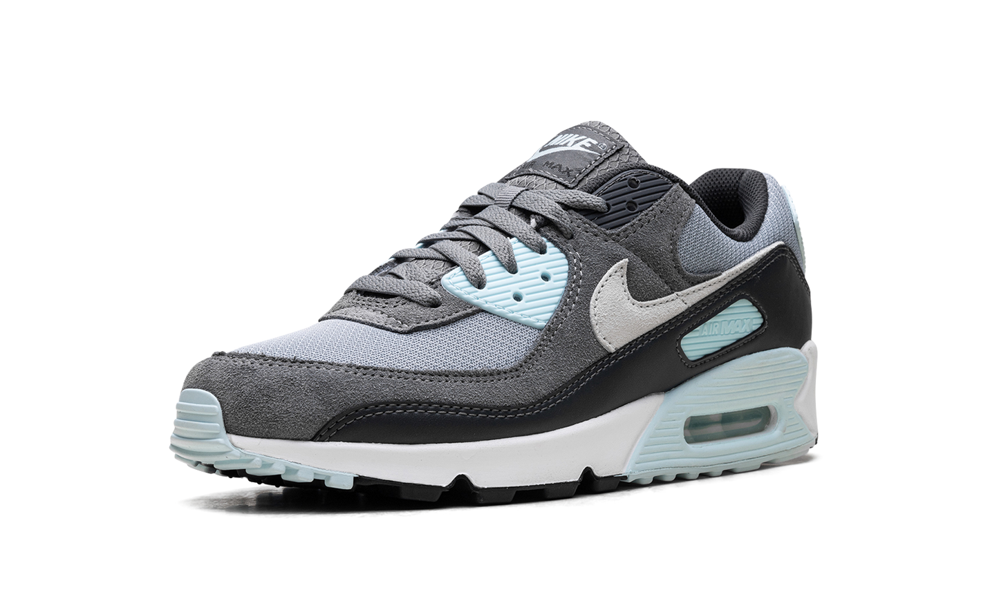Air Max 90 "Pumice"