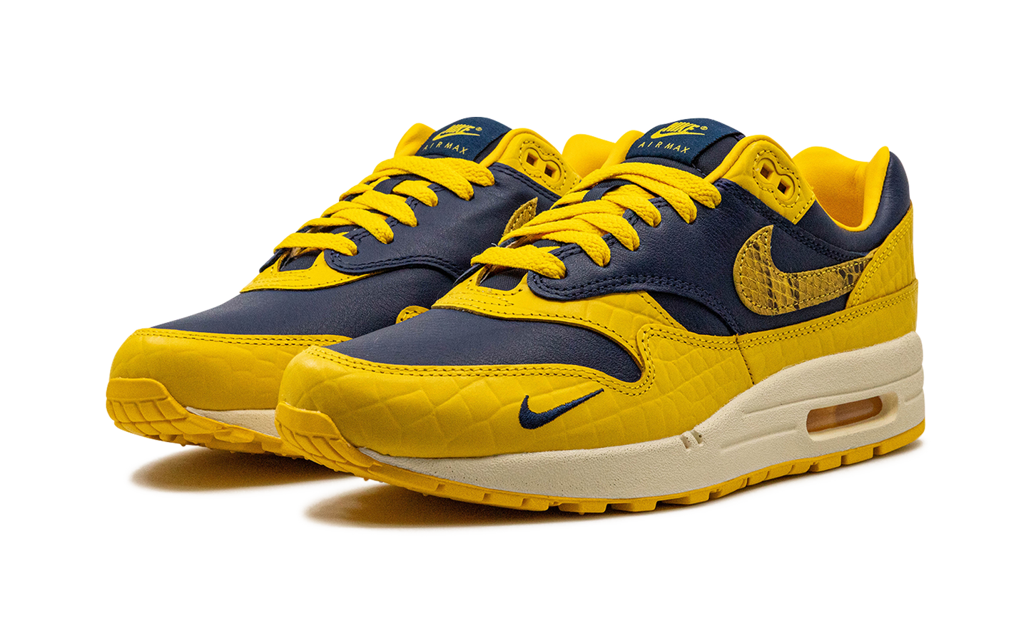 AIR MAX 1 PRM MNS WMNS "Co.jp Head to Head"