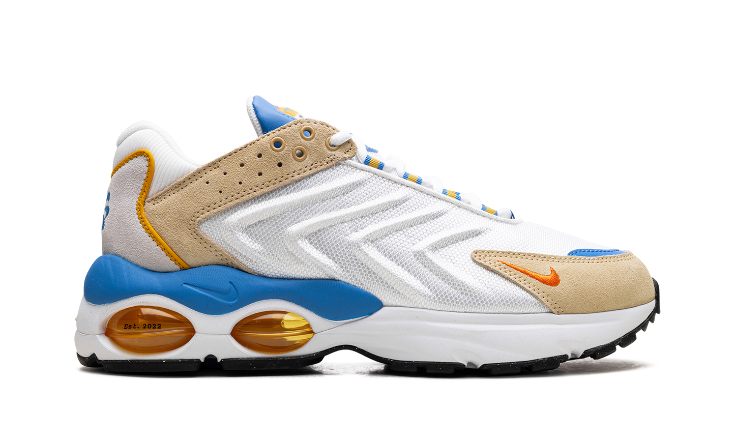 Air Max TW "Frank Rudy"