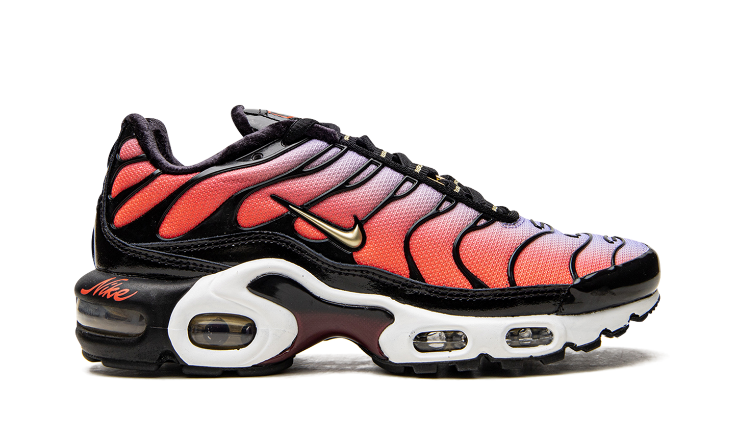 AIR MAX PLUS MNS WMNS "Sisterhood"