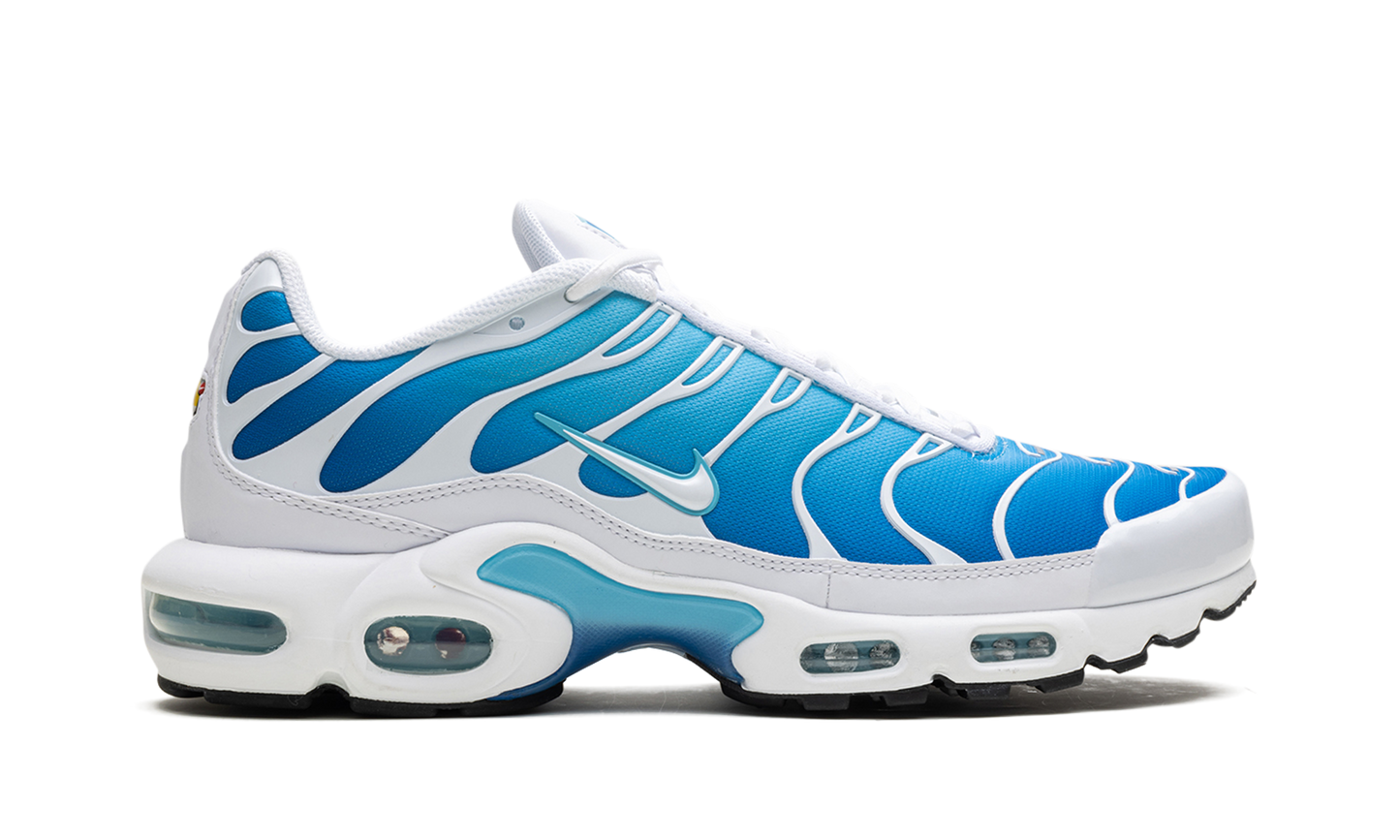 Air Max Plus "Blue Gaze"